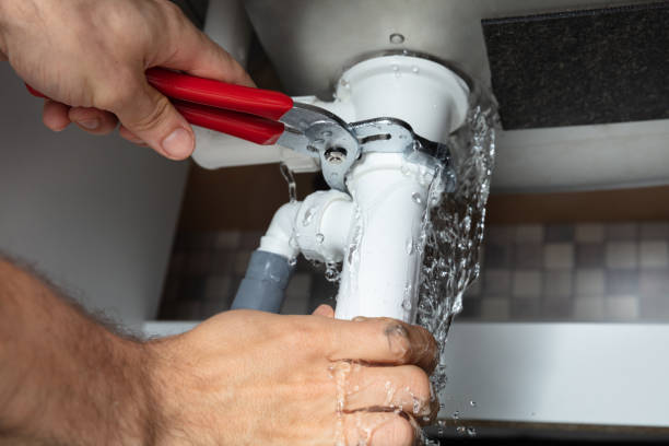 Best Mold removal after water damage  in Big Rapids, MI