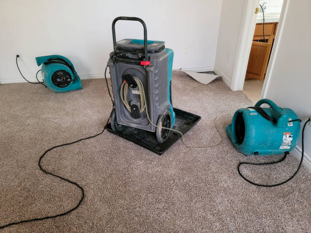Best Water damage contractors near me  in Big Rapids, MI