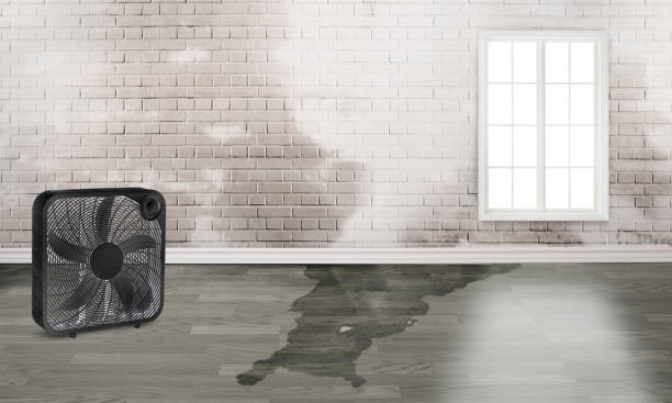 Best Emergency water damage restoration  in Big Rapids, MI
