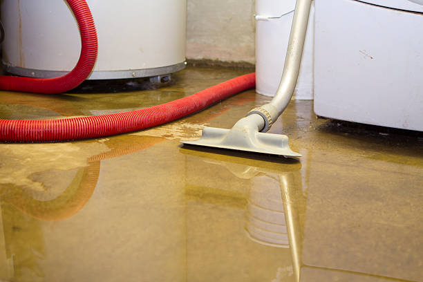 Best Ceiling water damage repair  in Big Rapids, MI