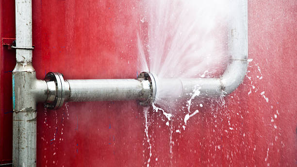 Best Basement water damage restoration  in Big Rapids, MI