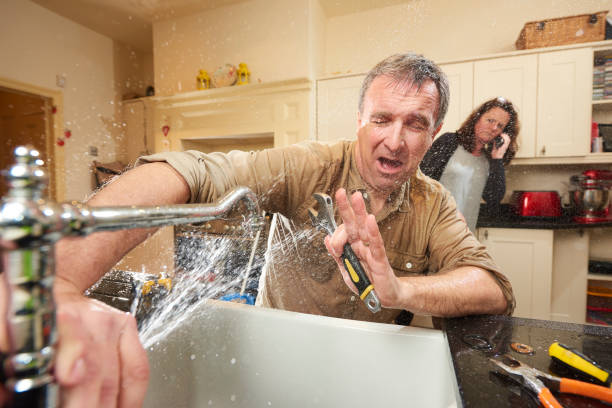 Best Basement water damage restoration  in Big Rapids, MI
